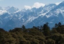 Disaster like situation in Uttarakhand due to heavy snowfall and rain