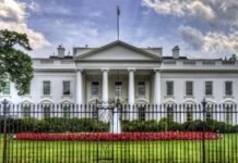 A man was waving a gun near the White House, American Secret Service shot him