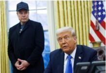 ‘He has to go…’, Trump announced; Elon Musk will be fired from the US government