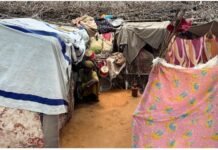 Paramilitary forces wreak havoc in Sudan, carry out a horrific attack in El Fasher; 114 civilians killed