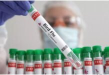 In America, the Trump government canceled funding for the bird flu vaccine