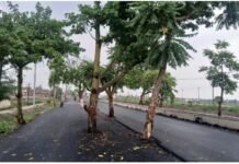 Bihar: Road from Patna to Gaya was built in 100 crores, but the officer forgot to cut the trees