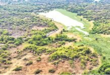 Sustainable development not using bulldozers raising forests: Supreme Court