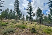 wildfire funding