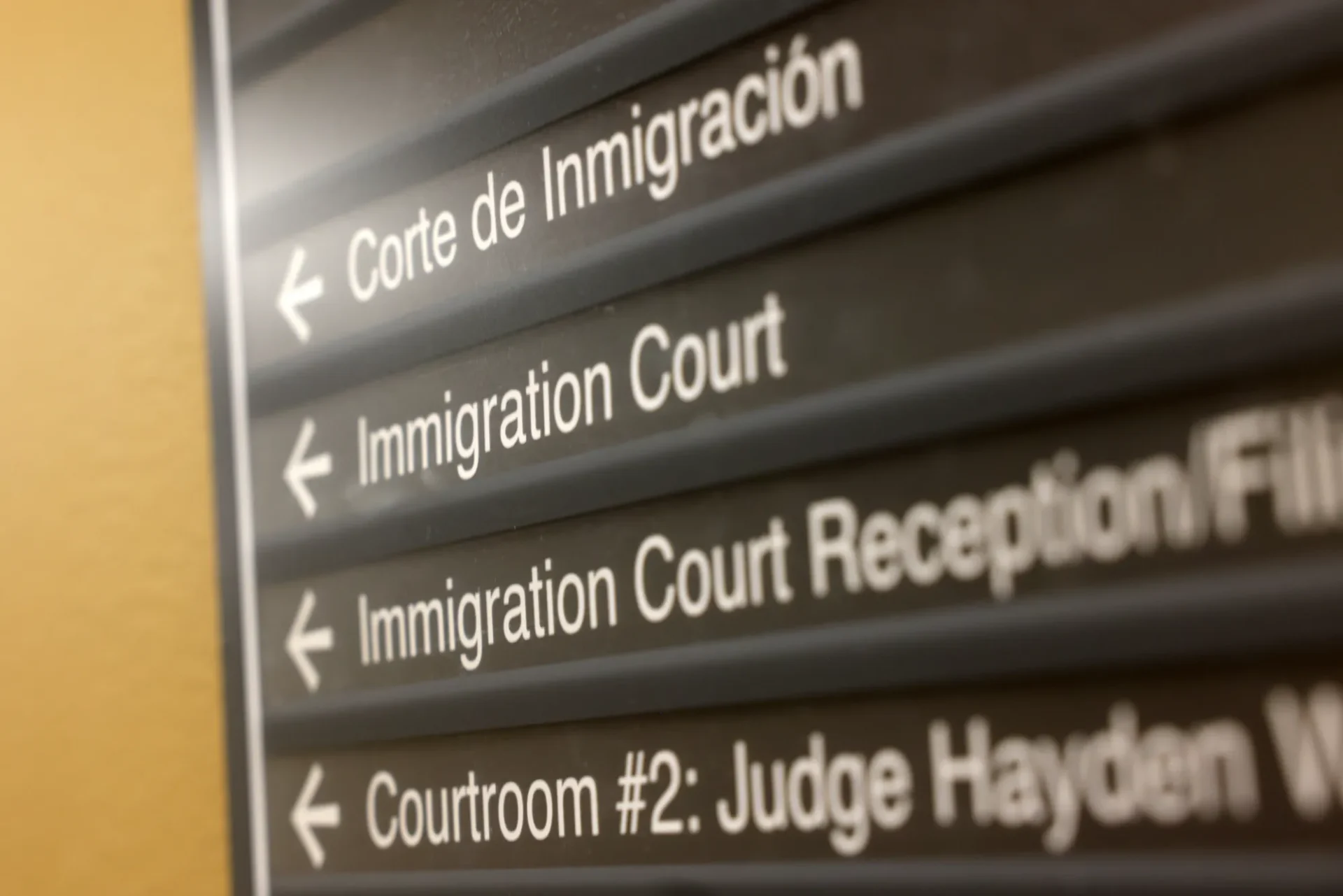 ImmigrationCourt