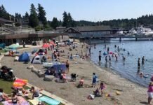 Looking for the Best Beach Day? 🌊☀️