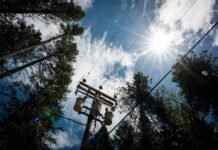 Utilities and telecoms turn to WA lawmakers for help as copper wire theft surges Electricity Cables Running Through A Forest