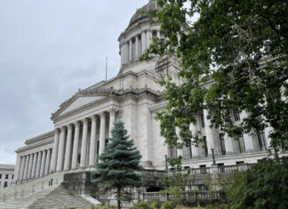 Republican in WA House draws GOP challenger The Washington state Capitol