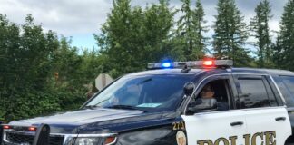 Officer Discharges Weapon During Standoff in Renton Neighborhood renton police