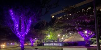 Domestic Violence Awareness