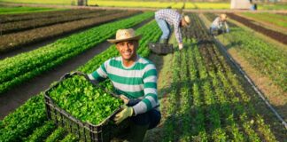 Agricultural Workers