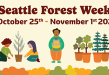 Seattle Kicks Off Forest Week with New “Foresting Seattle” Program to Grow and Protect Urban Green Spaces Forest Week
