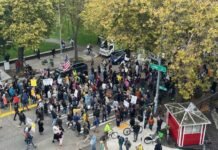 ‘No Kings’ Protest Spreads Across Seattle and Surrounding Areas king protesr