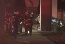 tragic single-vehicle collision
