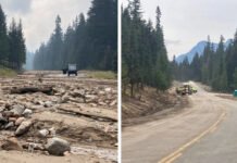 ‘Early stages of critical failure’: Funding outlook is grim for WA road upkeep WA road upkeep