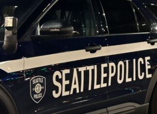 Man Carrying Handcrafted Hatchet and Dagger Arrested for Trespassing in Seattle seattle-police
