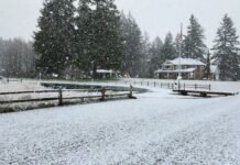 Cold Morning Temperatures Dip Below Freezing Across Western Washington Cold Morning Temperatures