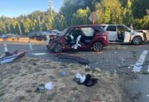 Renton Man Charged in Fatal DUI Collision That Killed 68-Year-Old Driver Charged in Fatal DUI Collision