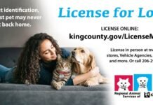 City of Kent Promotes Pet Licensing to Help Reunite Lost Animals license for love