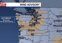 Wind Advisory Issued for Western Washington on Saturday Wind Advisory