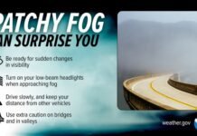 Patchy Dense Fog Creates Hazardous Driving Conditions Across Southwest Interior Hazardous Driving