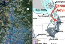 Dense Fog Advisory Issued for Parts of Puget Sound as Western Washington Wakes to Misty Conditions Dense Fog Advisory