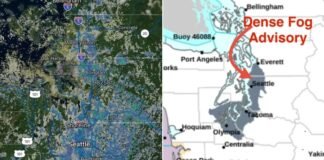 Dense Fog Advisory