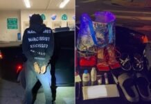 Traffic Stop in Oakland Leads to Arrest in Pimping Investigation Oakland Leads to Arrest
