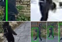Police Seek Help Identifying Suspect