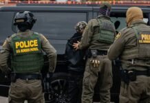 U.S. Customs