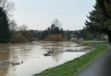 City Urges Public to Stay Off Levees and Avoid Flooded Areas Avoid Flooded Areas