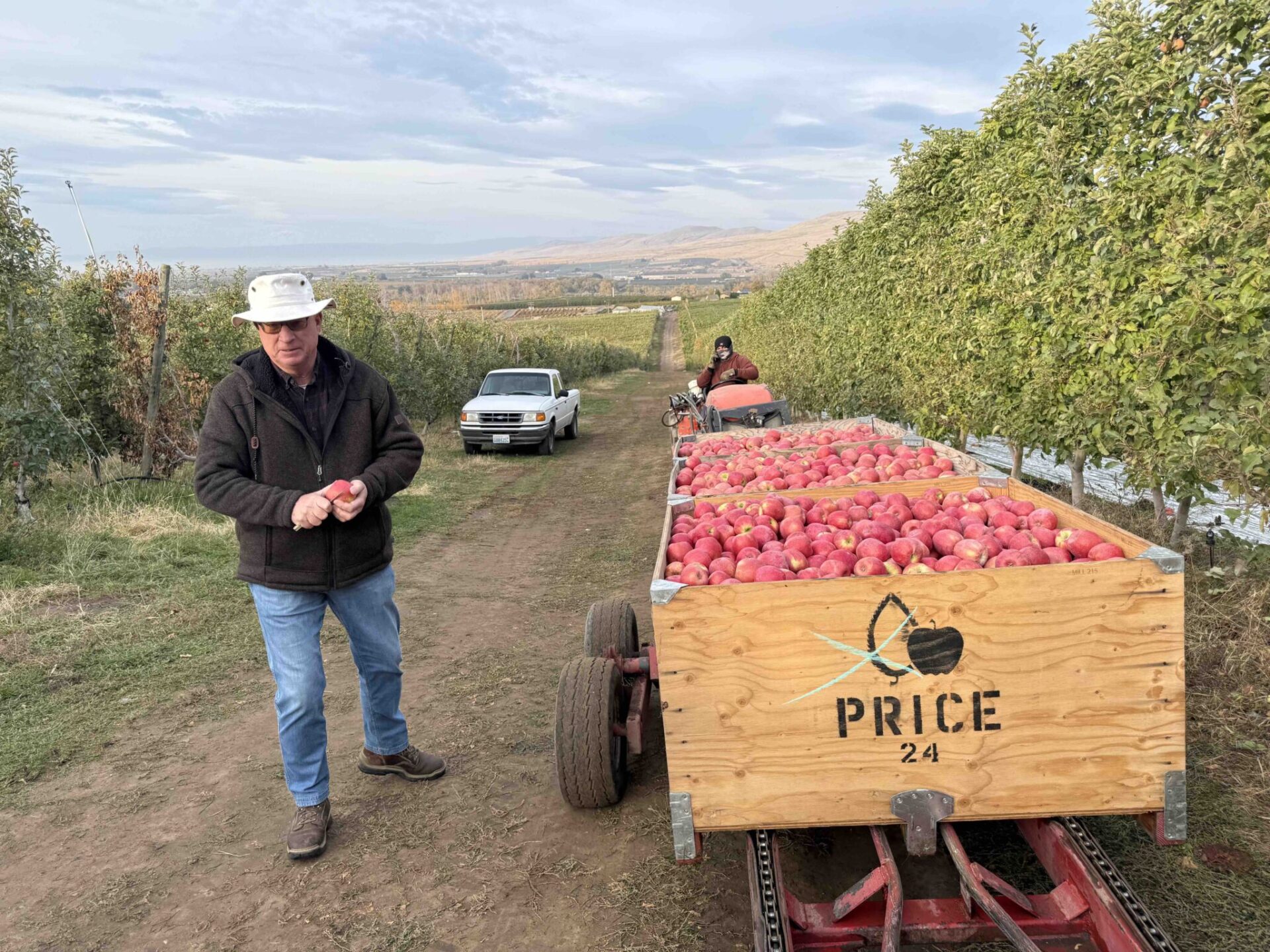 Aaron Clark, a vice president for Price Warehouse & Cold Storage, focuses on hiring local workers for apple harvests grown on some 3,500 acres of central Washington orchard lands, which include this acreage near Union Gap