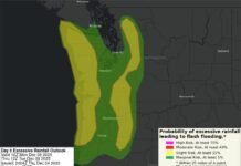 NWS Warns of Potential Flooding as Powerful Storm Systems Move Into Pacific Northwest NWS Warns of Potential Flooding