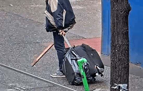 Violent Felon Arrested After Brutal Assault on Elderly Woman