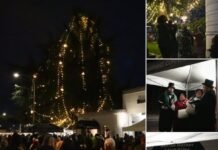 Successful Tree Lighting