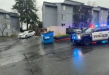 Suspected Car Thief Arrested