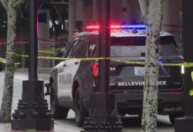 Bellevue Police