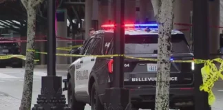 Bellevue Police