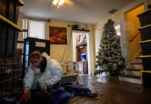 Ferguson will tap emergency funding to aid WA residents hit by flooding April Grant salvages belongings from her home in Sumas, Wash., on Dec. 15, 2025, after it flooded last week.