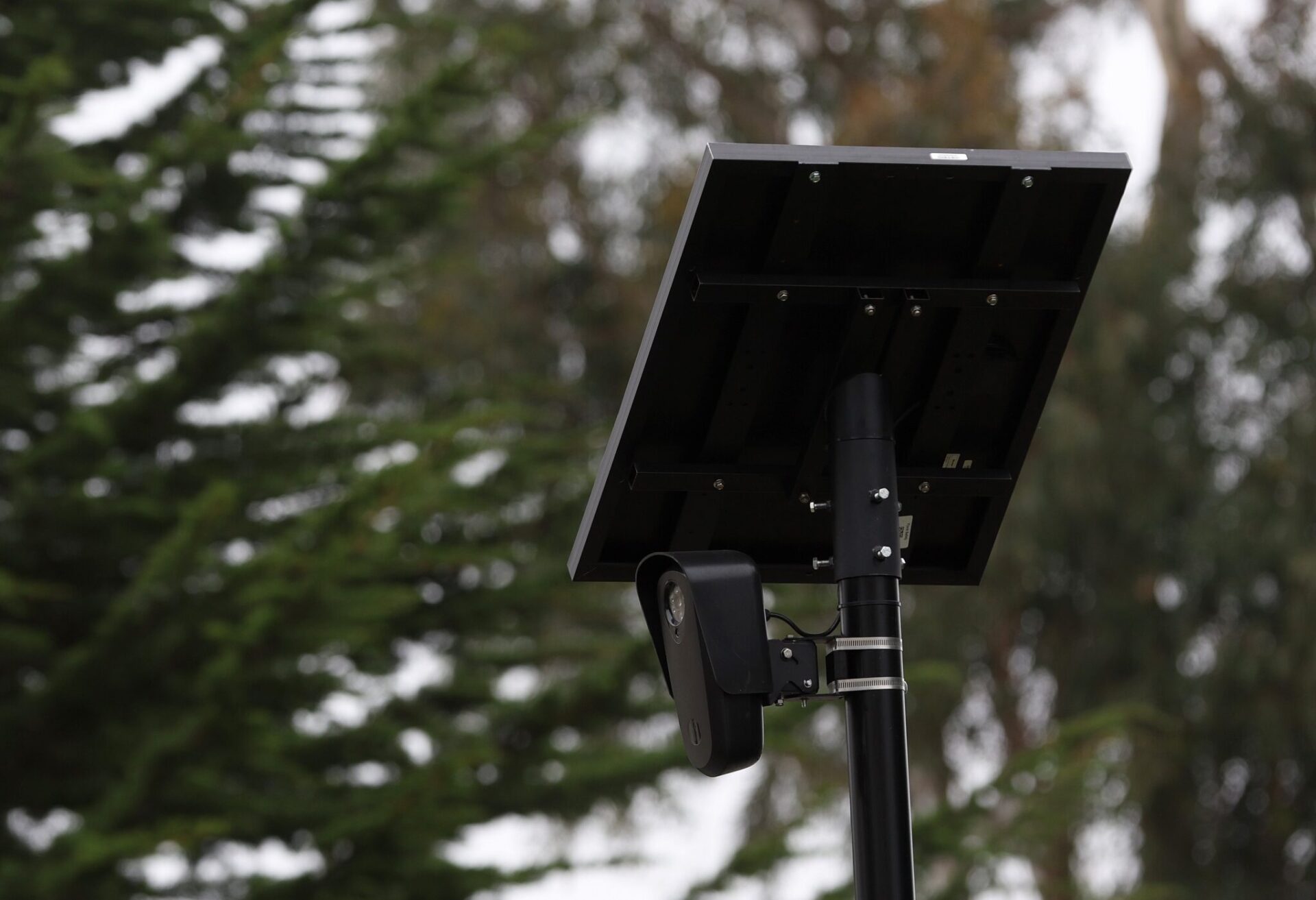 An automated license plate reader is seen mounted on a pole in 2024 in San Francisco