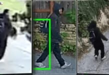 Elderly Woman Brutally Attacked in Daylight Assault in Seattle, Finger Bitten Off Elderly Woman Brutally Attacked