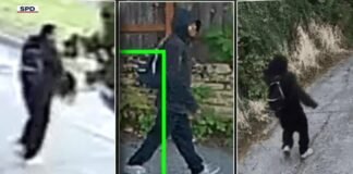 Elderly Woman Brutally Attacked