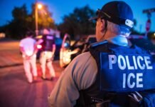 ICE searched WA driver’s license data into November, report finds ice agent