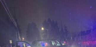 Kent Police Arrest Domestic Violence Suspect After Vehicle Stop KENT POLICE DEPARTMENT