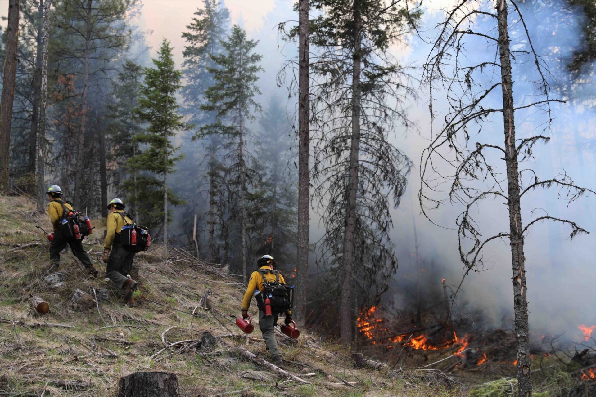 The Washington Department of Natural Resources and the USDA Forest Service conduct a cross-boundary prescribed fire in the Aeneas Valley in 2023.