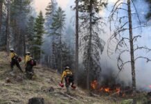 Rollback of mortgage lender tax break eyed to help replenish WA wildfire account The Washington Department of Natural Resources and the USDA Forest Service conduct a cross-boundary prescribed fire in the Aeneas Valley in 2023.