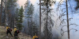 Rollback of mortgage lender tax break eyed to help replenish WA wildfire account The Washington Department of Natural Resources and the USDA Forest Service conduct a cross-boundary prescribed fire in the Aeneas Valley in 2023.