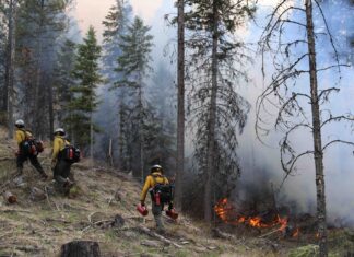 The Washington Department of Natural Resources and the USDA Forest Service conduct a cross-boundary prescribed fire in the Aeneas Valley in 2023.