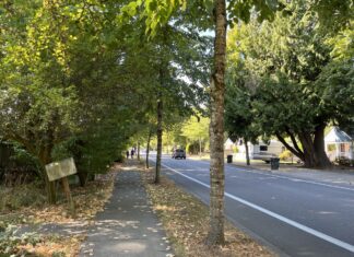 Urban tree funding axed in WA House budget proposal A tree-lined street in Tumwater. The City of Tumwater is part of a group of more than a dozen communities to get money from the federal government to boost their urban tree canopy