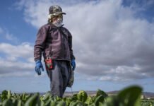 WA farmworker union bill doesn’t make it through Legislature farmworker
